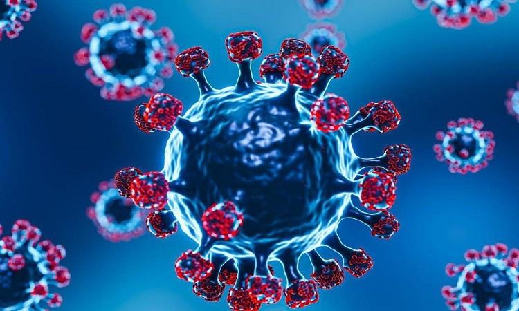 آيت الطالب: لم تثبث أية خطورة لـمتحور فيروس كورونا "جي إن 1"