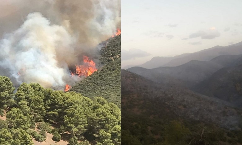 إخماد حريق تسبب في إتلاف أزيد من 54 هكتارا من المجال الغابوي بإقليم الحوز