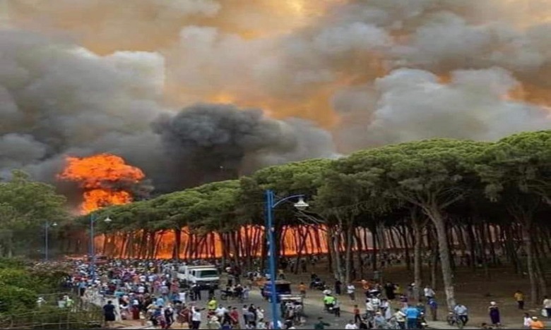 إقليم العرائش.. ارتفاع المساحة التي طالتها النيران إلى ما يناهز 900 هكتار (مصادر محلية)