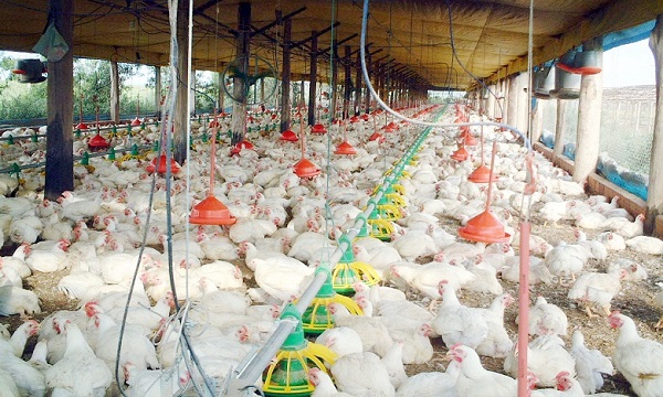 اختصاصيون يؤكدون سلامة اللقاح ضد الأنفلونزا الفصلية