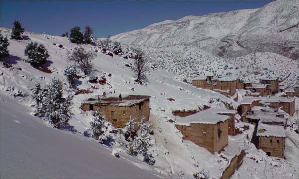 الثلوج تقتل المواشي وتعلق الدراسة في إملشيل