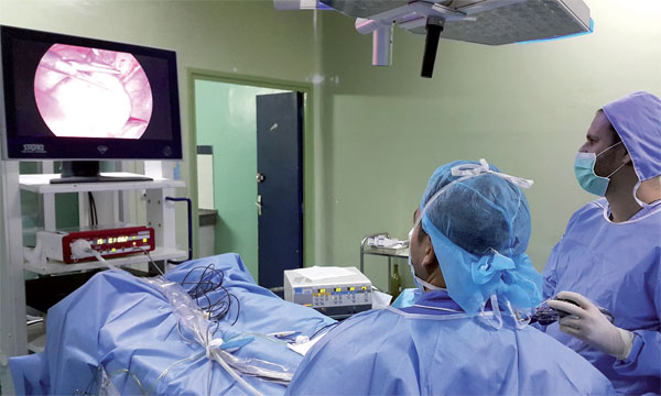 الجمعية المغربية لجراحة المسالك البولية بالمنظار تناقش جديد علاجات سرطان البروستات