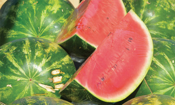 "الدلاح" المغربي يغزو الأسواق الإسبانية