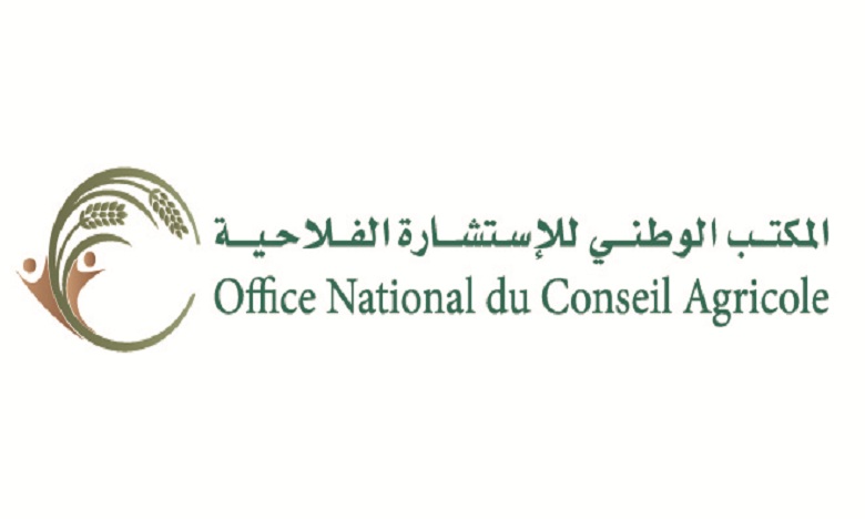 الرباط: مستخدمو مكتب الاستشارة الفلاحية يستعدون لمؤتمرهم الثاني
