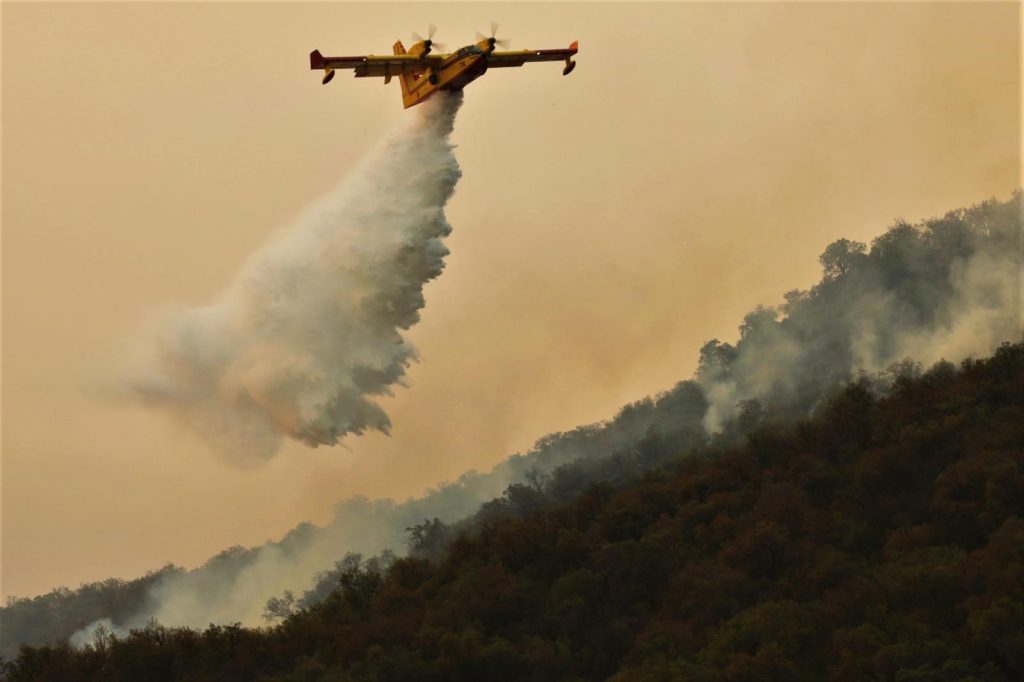 الفحص-أنجرة : السيطرة على الحريق الغابوي المسجل على مستوى دوار "واد الرمل"