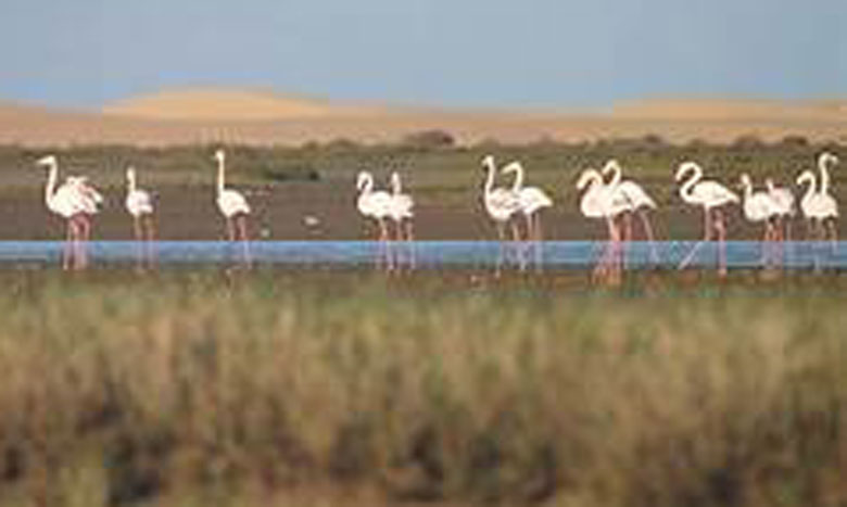 المغرب اختار سياسة المناطق المحمية.. إنشاء 10 منتزهات وطنية و154 موقعا ذا أهمية بيولوجية وإيكولوجية