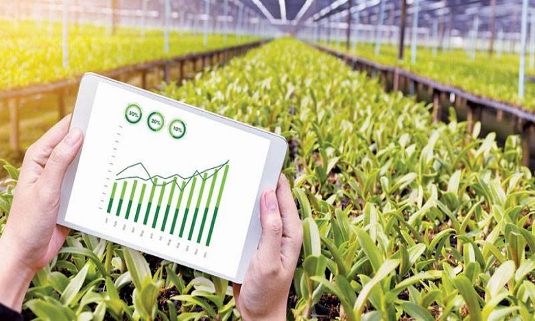 المغرب يحتل المرتبة الخامسة في برنامج "prima" أكبر برنامج للبحث والابتكار في المنطقة المتوسطية