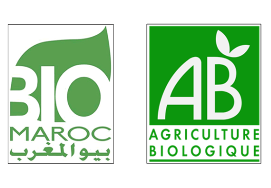 المغرب ينال شهادة قبول معيار "بيو- ماروك" في حزمة معايير IFOAM-OI المغرب ينال شهادة قبول معيار "بيو- ماروك" في حزمة معايير IFOAM-OI