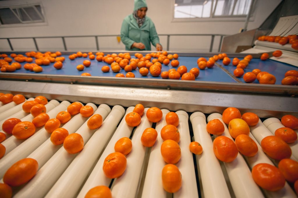 الهيئة الأوروبية لحماية الأصناف النباتية تؤكد حماية حقوق منتوج المندرين المغربي