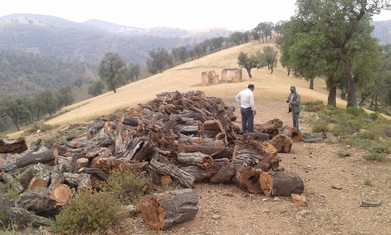 انخفاض الحرارة بوالماس يرفع تخوفات السكان من غلاء حطب التدفئة