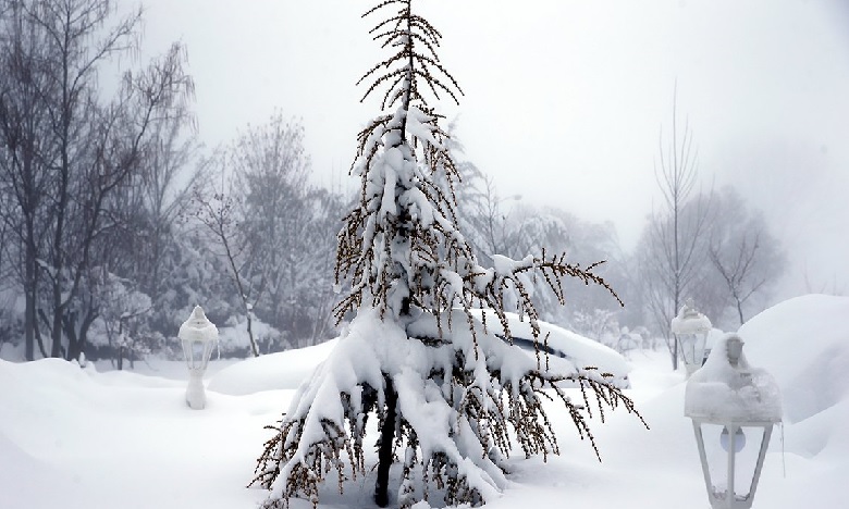 انخفاض في درجات الحرارة وتساقطات ثلجية مرتقبة بعدد من المناطق