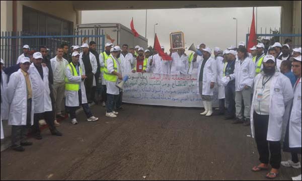 باعة السمك بالجملة بالبيضاء ينتفضون من أجل الثلج