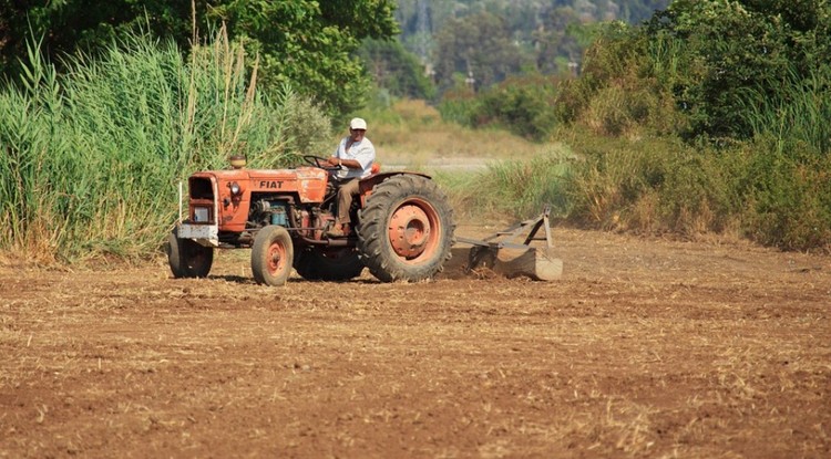 تأخر التساقطات المطرية وارتفاع درجات الحرارة يثيران مخاوف المغاربة تأخر التساقطات المطرية وارتفاع درجات الحرارة يثيران مخاوف المغاربة