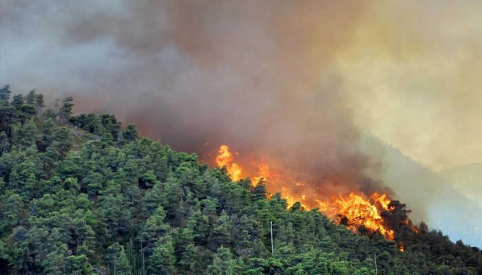 تازة.. تواصل الجهود لتطويق حريق غابة مغراوة