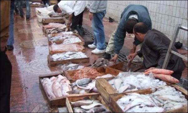 تحذيرات من مخاطر المنتجات البحرية المسوقة خارج المحلات المعتمدة سوق السمك بالدارالبيضاء