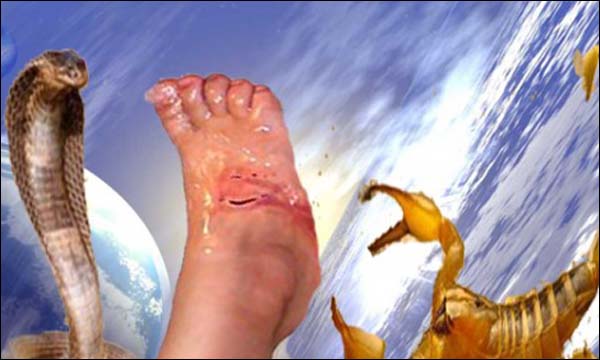 تراجع عدد الوفيات بلدغات الأفاعي ولسعات العقارب