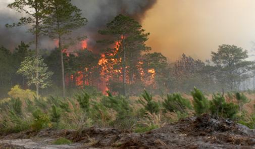 تطوان.. النيران تطال حوالي 70 مسكن موزعة على دوارين اثنين بجماعة الخروب