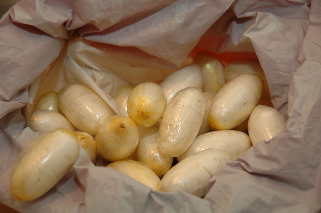 تفريغ 2.325 كلغ من الكوكايين من أمعاء مواطن كونغولي