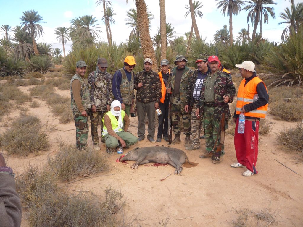 تنظيم 60 إحاشة سنويا للمندوبية السامية للمياه والغابات ومحاربة التصحر بكلميم