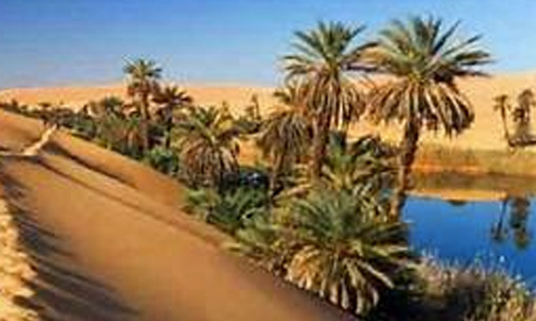 جامعيون وباحثون يناقشون بزاكورة تحديات التغيرات المناخية والهجرة بالواحات