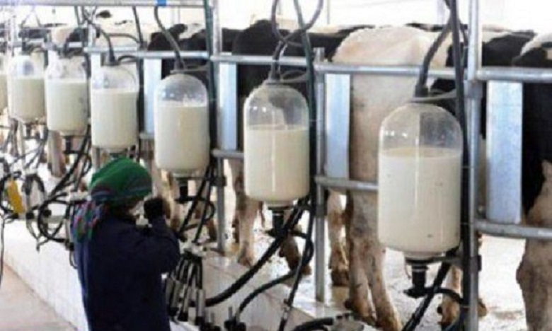 رمضان: المنتجات ذات الأصل الحيواني متوفرة بكميات كافية وبأسعار مستقرة