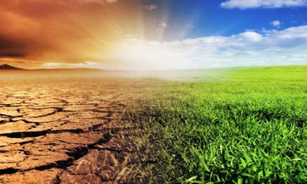 شبكة العمل المناخي العربية: تقرير الهيئة الحكومية الدولية المعنية بتغير المناخ نقطة تحول فاصلة