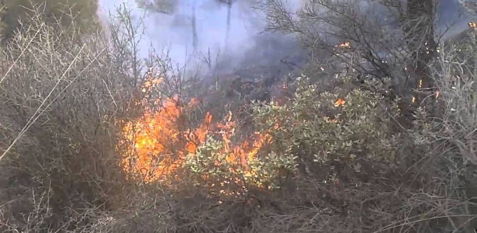 شفشاون: حريق يأتي على 150 هكتارا من الغطاء الغابوي بجماعة ابن سليمان