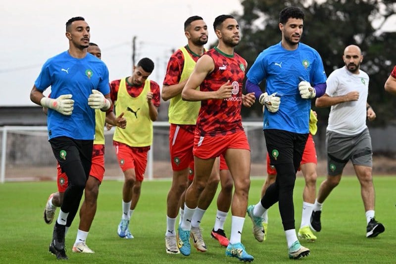 علودي يرجح ظفر "الأسود" بكأس إفريقيا