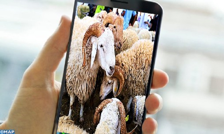 عيد الأضحى: إقبال متزايد على اقتناء الأضحية عبر الانترنت