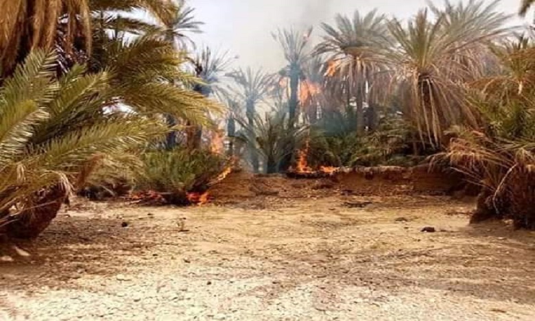 لجنة الإشراف على نافذة التشاور المدني بإقليم طاطا تذق ناقوس خطر انذلاع الحرائق بالواحات