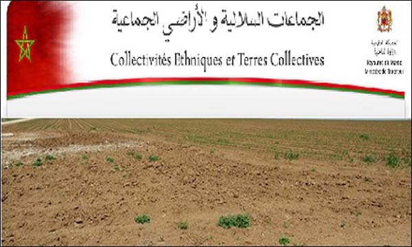 لقاء دراسي حول مشاكل تمليك الأراضي السلالية بدوائر الري