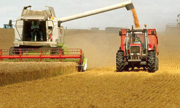 مديرية الدراسات والتوقعات المالية تشخص الوضعية الاقتصادية خلال ماي الجاري