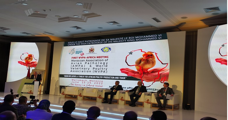 مراكش: خبراء وباحثون يتدارسون المستجدات العلمية في مجال أمراض الدواجن بإفريقيا