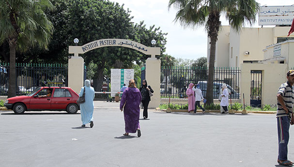 موظفو ومستخدمو باستور يطالبون بملحق للقانون الأساسي للمعهد