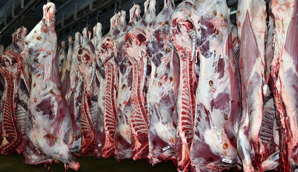 روبورتاج   : حسن سرادني