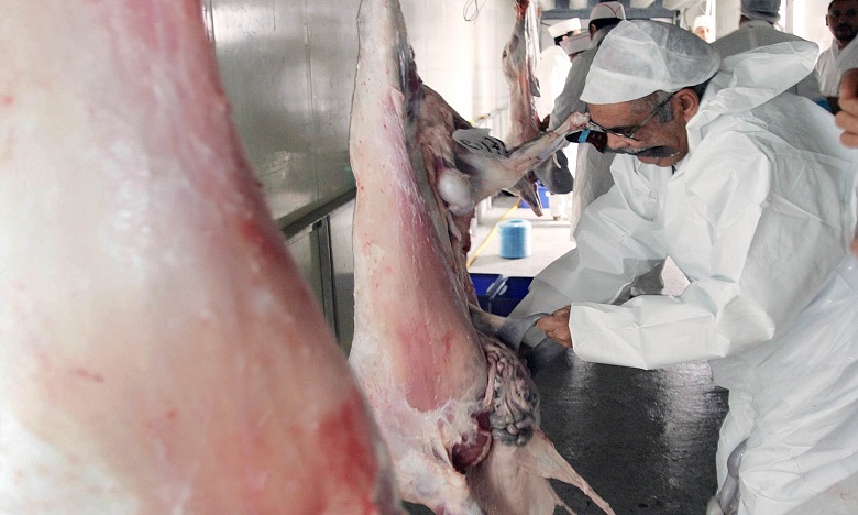 هيئة جمعوية تطالب بمراقبة أكبر سوق لبيع اللحوم لسكان خريبكة