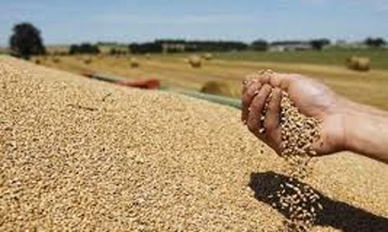 هيئة نقابية تدعو إلى تشجيع البحث العلمي في المجال الفلاحي