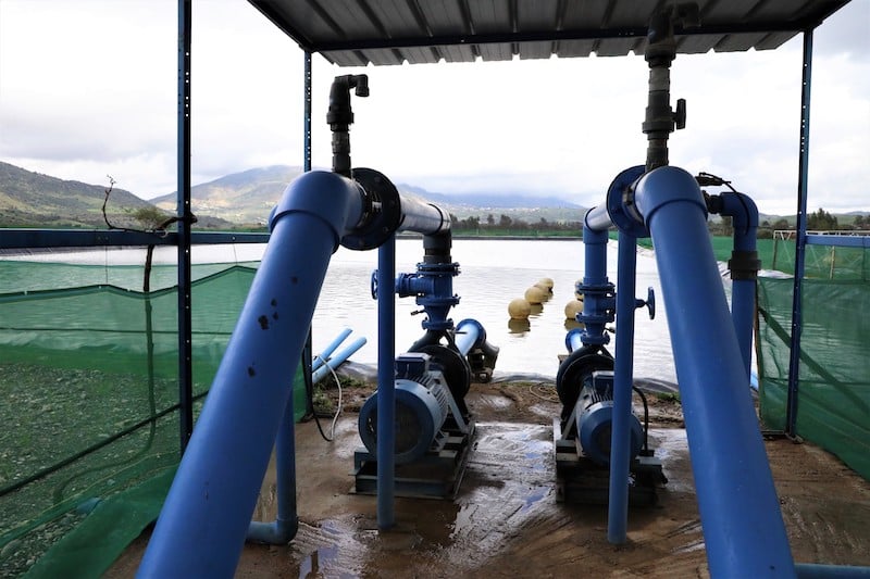 وزارة الفلاحة تساهم في مشاريع تحلية المياه الموجهة إلى الأراضي السقوية وزارة الفلاحة تساهم في مشاريع تحلية المياه الموجهة إلى الأراضي السقوية