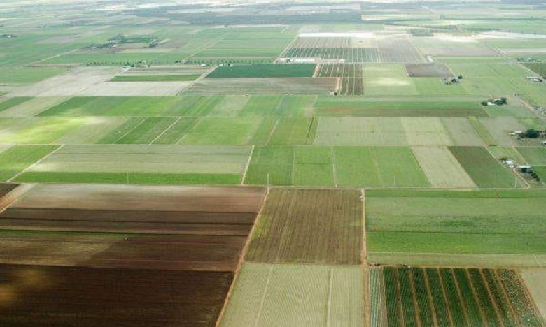 وزير الداخلية يوضح الشروط الواجبة لتمليك قطع أرضية بورية من أملاك الجماعات السلالية للمنتفعين بها