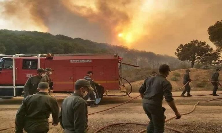 157 حريقا غابويا يلتهم 1277 هكتارا خلال 8 أشهر