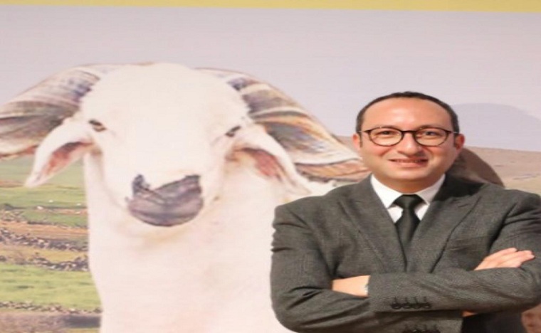 160 ألف زائر مهني حضروا الدورة الثانية لمعرض الصردي بسطات