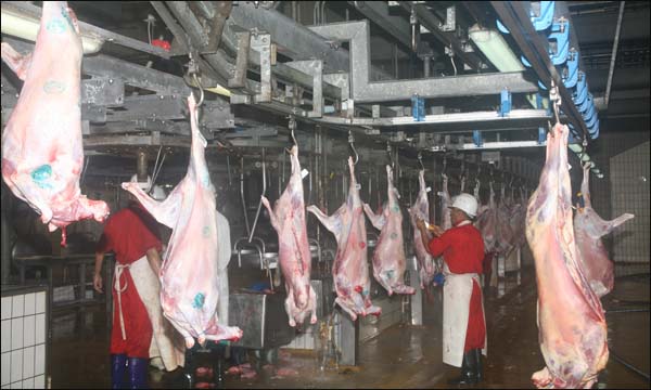 200 درهم لذبح أضحية العيد في مجازر البيضاء