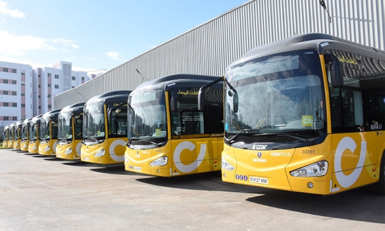 "Casabus" توفر 12 خطا إلى الشواطئ