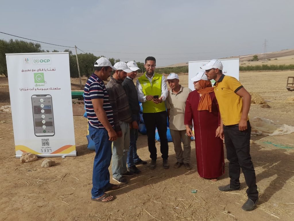 "T@swiq" .. قصة فلاح استطاع بيع 5000 قطعة من التبن و80 قنطارا من القمح بنقرة واحدة