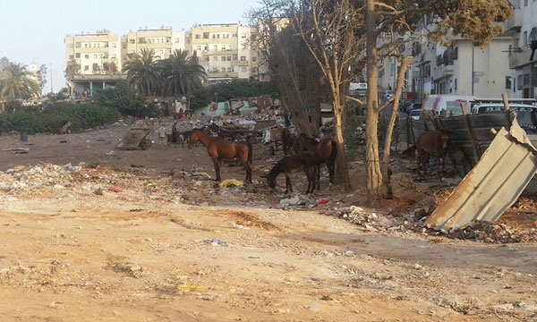 أول شكاية على طاولة العامل الجديد لمقاطعات سيدي البرنوصي بالبيضاء