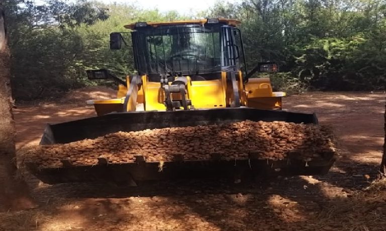 إتلاف 136 طنا من البطاطس ببركان تحتوي على مبيدات فلاحية غير مرخصة