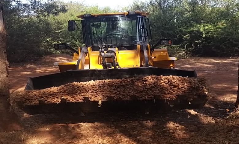 إتلاف 136 طنا من البطاطس ببركان تحتوي على مبيدات فلاحية غير مرخصة