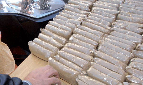 إجهاض محاولة تهريب 356 كيلوغراما من مخدر الشيرا بميناء طنجة المتوسط