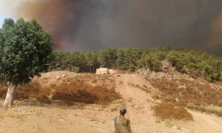 إخماد حريق غابوي بتطوان بعدما أتى على هكتارين ونصف من الغطاء الغابوي