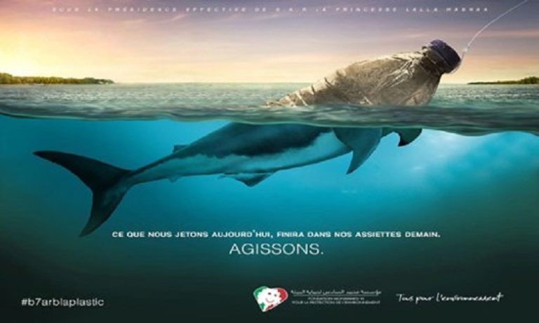 إطلاق عملية شواطئ نظيفة 2019 تحت شعار "بحر بلا بلاستيك"